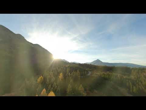 Video image